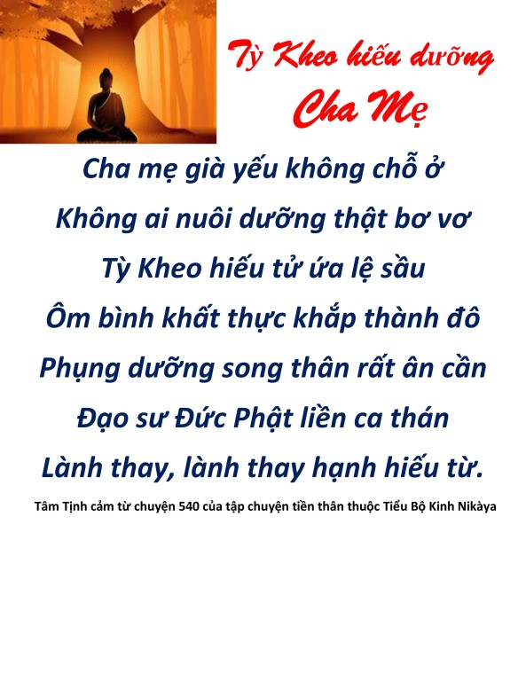 hieu duong cha me_vu lan bao hieu16.jpg